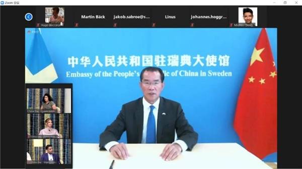 杨银学最新视频观点论述解析