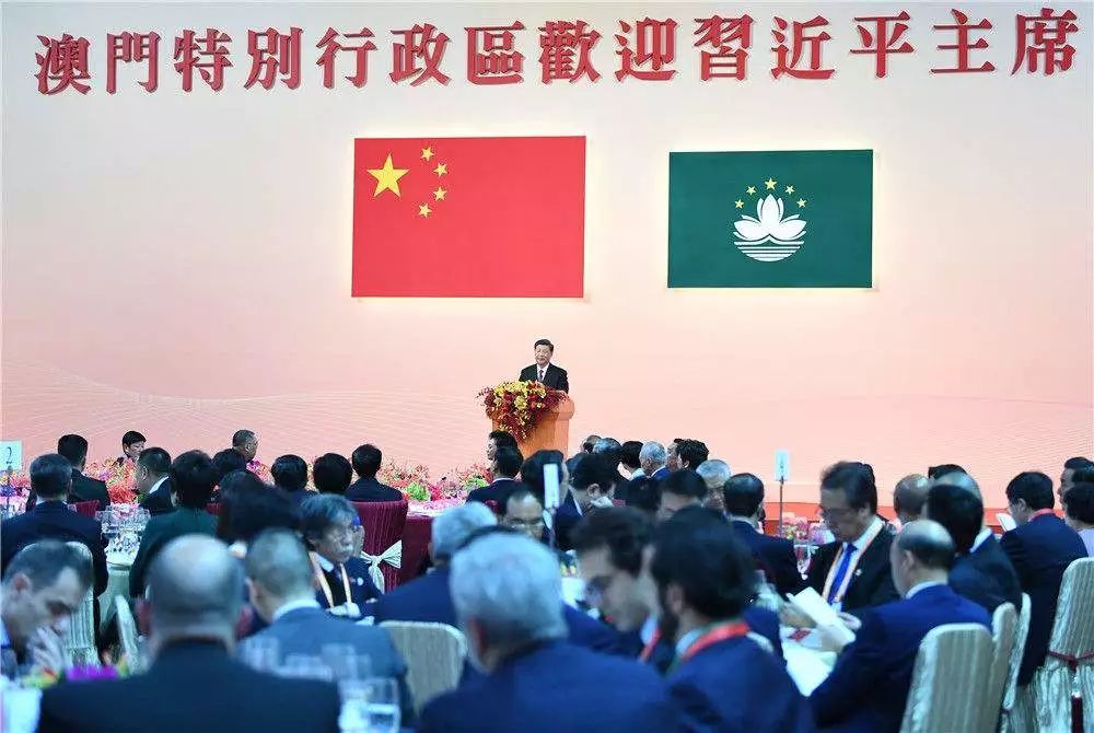 澳门政府最新消息与温馨日常故事概述