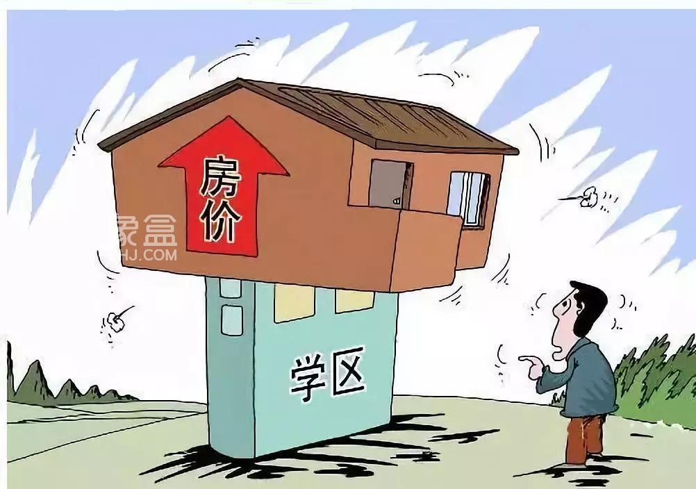 青2热度最新,青2热度最新，现象背后的深度解析
