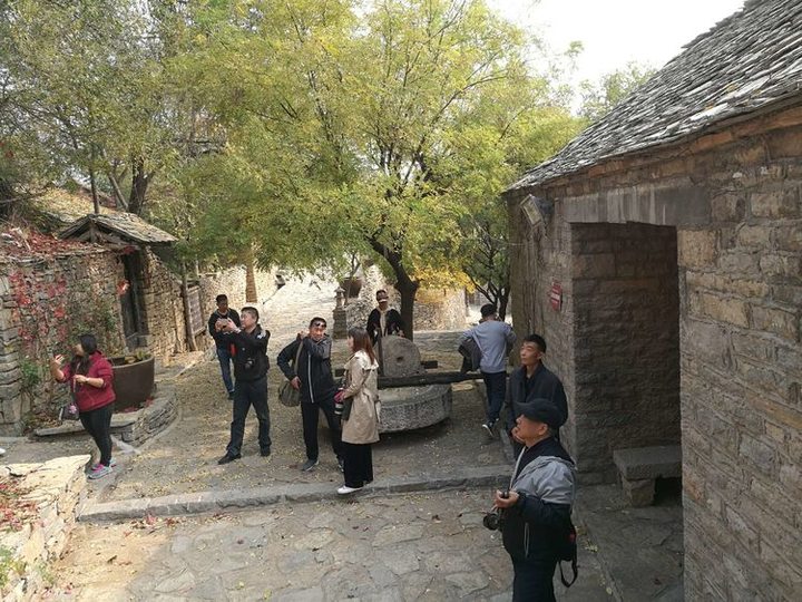 山亭最新动态，小巷深处的独特风味探索