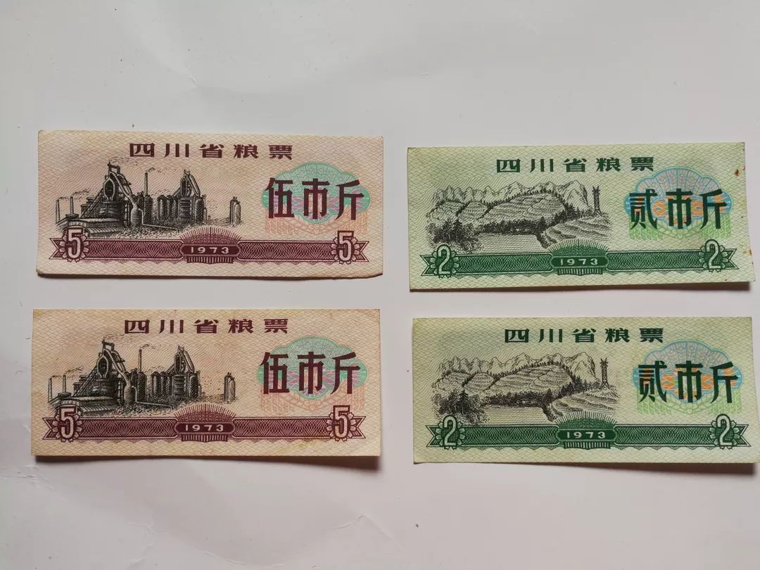 币最新版的温馨日常故事概览