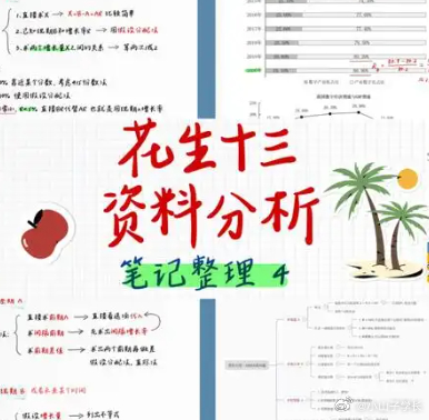 花生十三最新观点论述解析