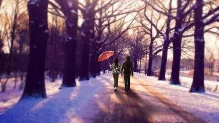 杜比最新版，自然美景之旅，探寻内心的平和与宁静