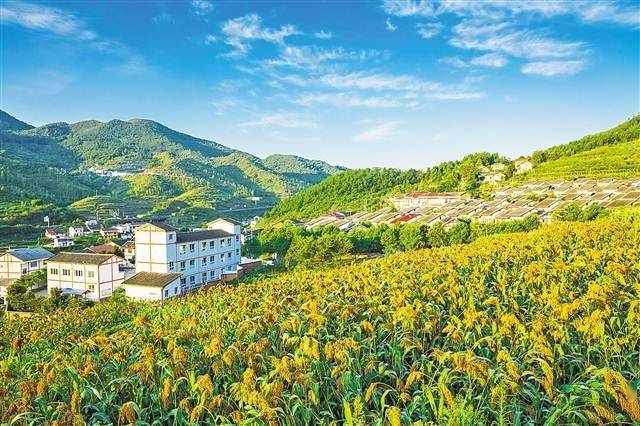 桂东电力最新动态，自然美景探索之旅与股票消息一览