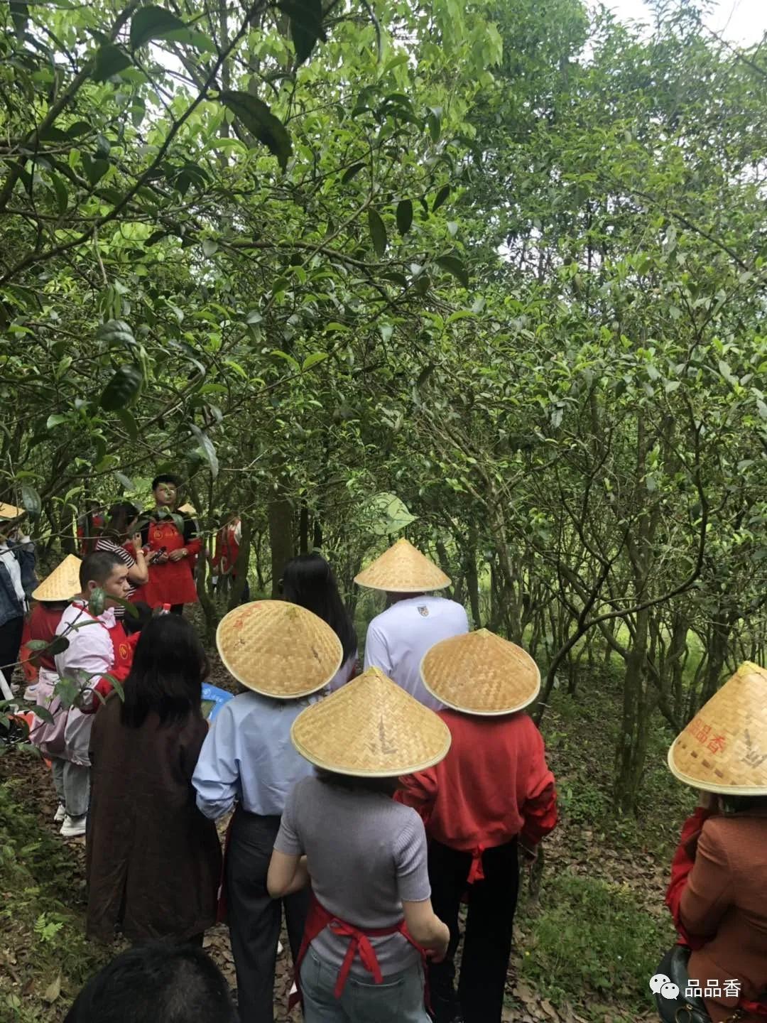 iTunes最新版本下载，开启自然美景探索之旅