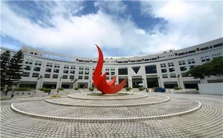 香港产子最新政策详解及步骤指南