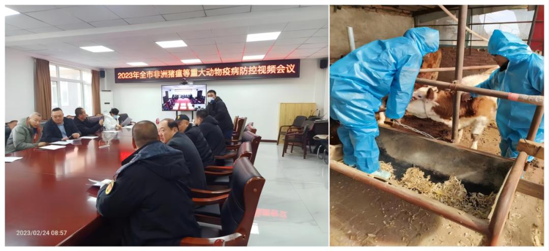 辽宁禽流感最新消息更新