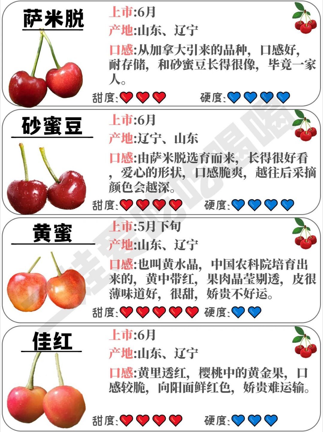 赐金KTV 第34页