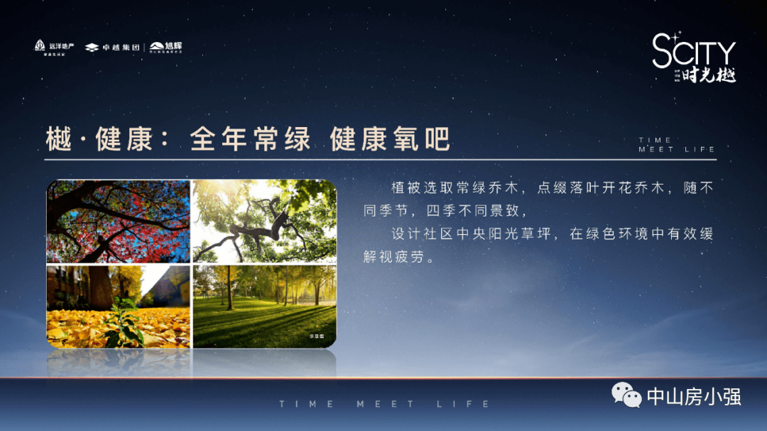 最新烧脑剧深度解析与观点阐述，剧情烧脑，引人入胜的解析与探讨