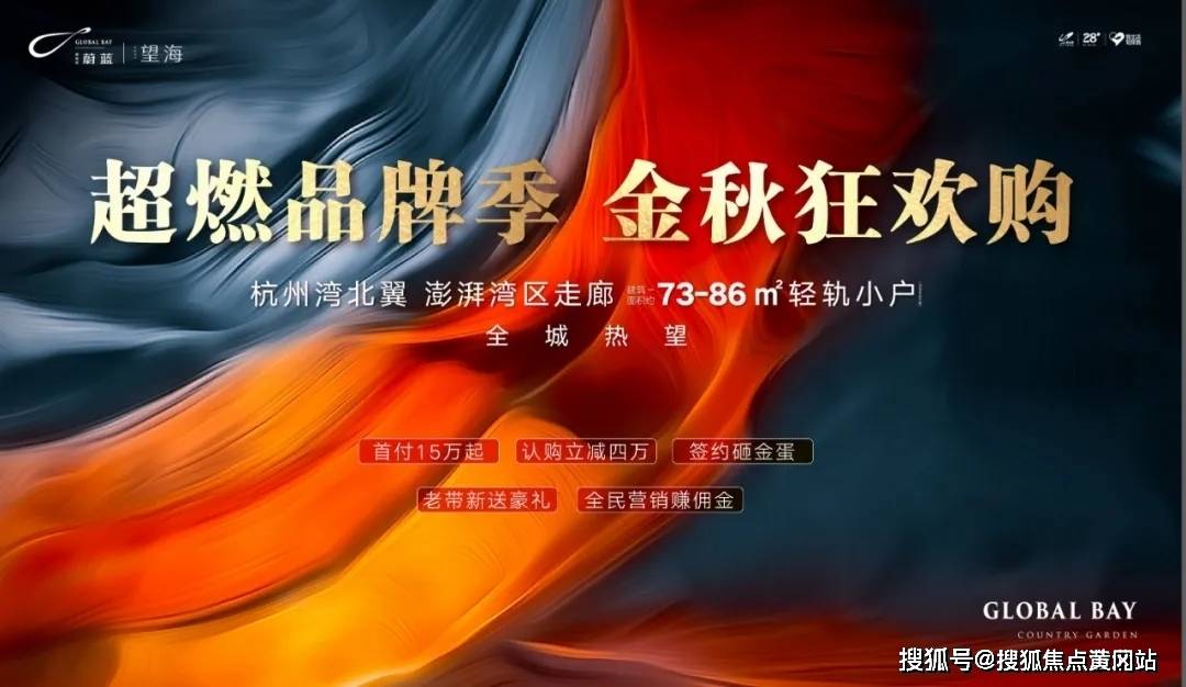 野鸡网最新动态，探索、解析与发展