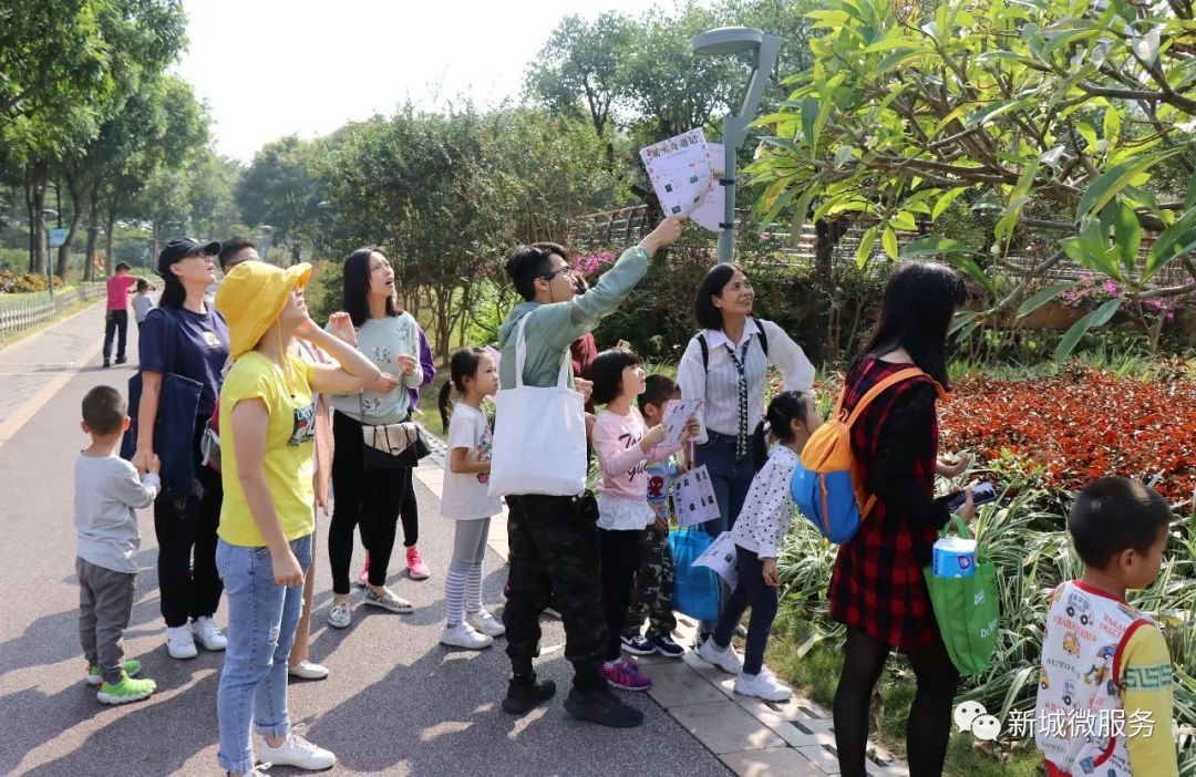 探索、发展与科普的旅程，最新草社区榴2017
