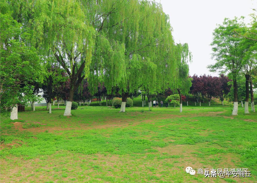最新公测网络游戏，自然美景的奇妙探索之旅
