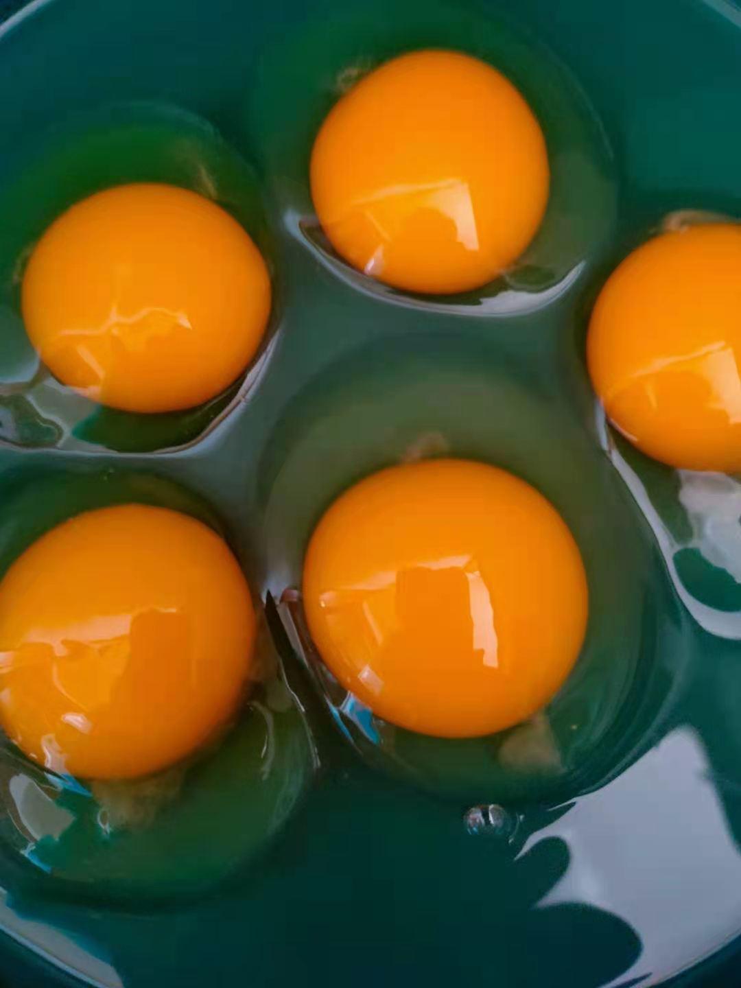 全国鸡蛋最新价格行情动态更新🥚🌐