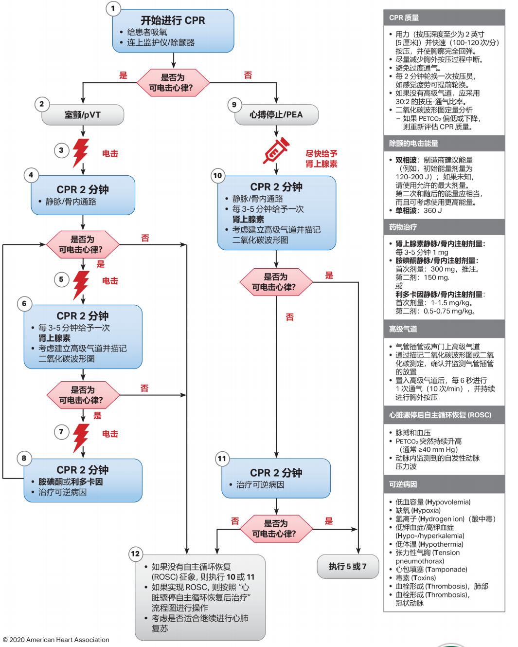 最新单人心肺复苏视频教程及观点论述