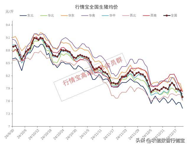 今日全国最新生猪价格变化，揭示学习自信的力量与趋势分析
