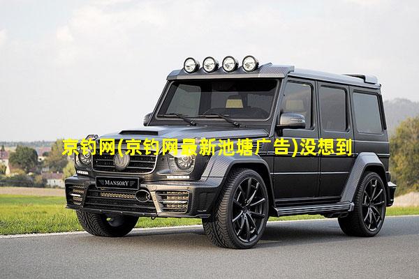 京钓网最新池塘广告详解，全面论述与探讨