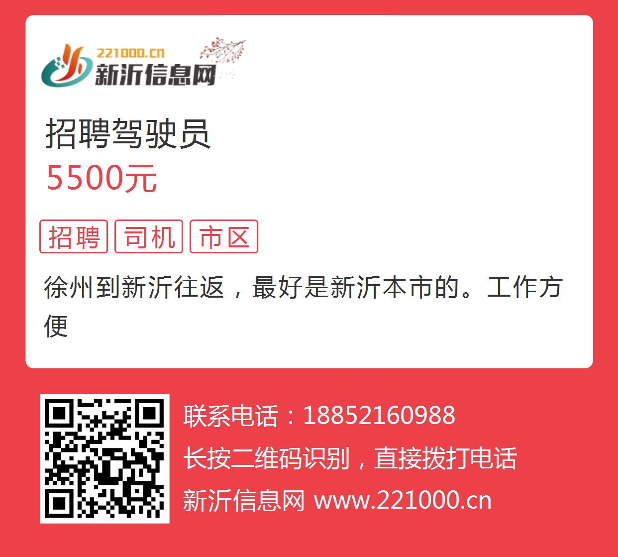 新沂招聘信息更新，友情牵绊与梦想启航之旅