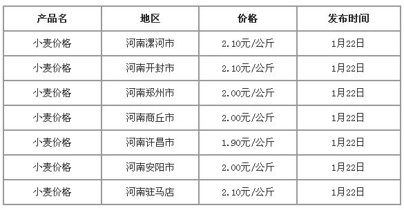 河南小麦今日最新价格行情动态更新
