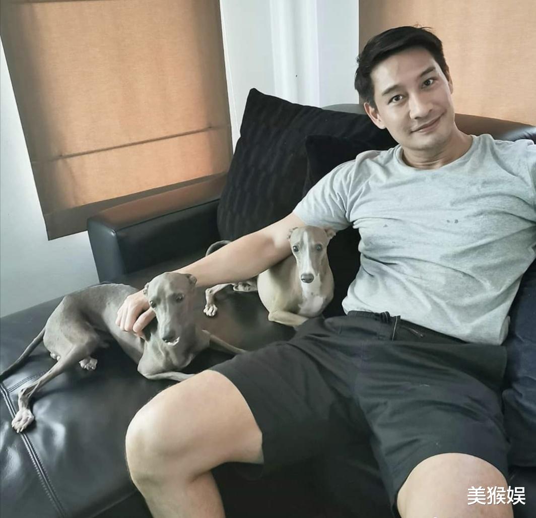 泰星Pong科技新品亮相，开启智能生活新时代
