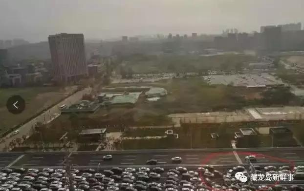 藏龙岛规划最新动态揭秘，最新消息一览无余