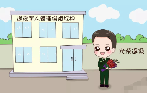 八级伤残军人最新政策解读，拥抱自然，开启内心宁静之旅