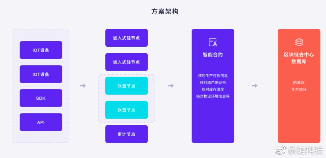 P2P终结者最新版的观点论述与功能解析