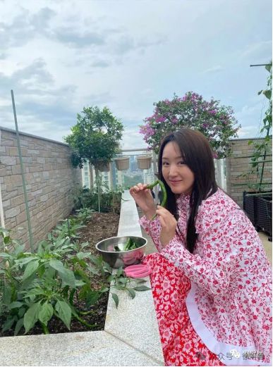最新甜歌，甜蜜旋律与温馨生活的完美融合