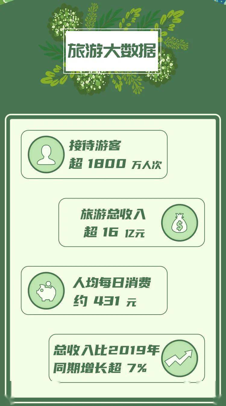 最新卫生巾探索之旅，寻找内心平静的呵护之选
