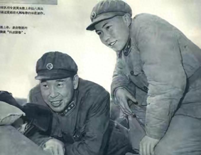 青岛最新招工，探索自然美景之旅，寻找内心的宁静与平衡