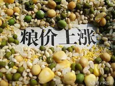 最新粮食价格揭秘，不可不知的粮食行情内幕！