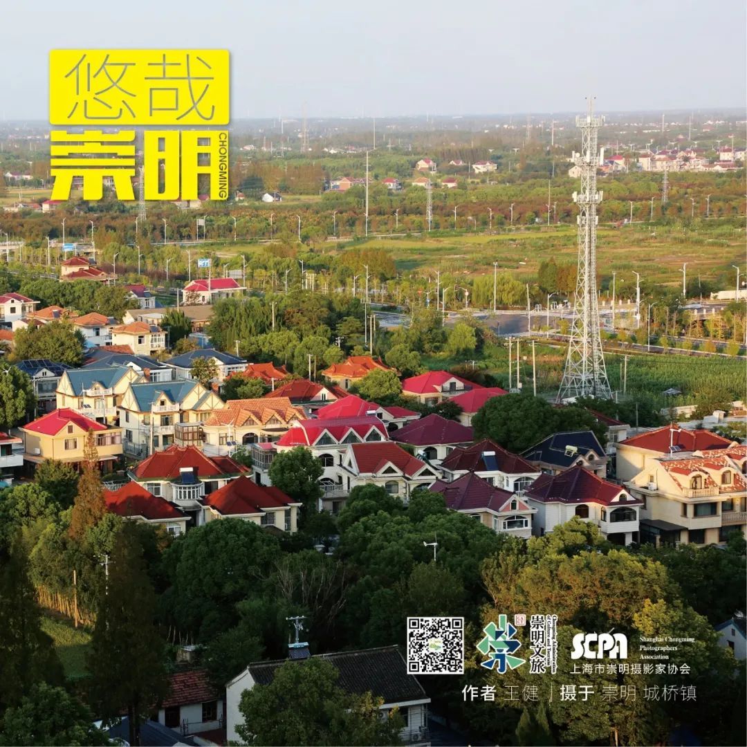 崇明最新动态报道，新闻速递📣🌆