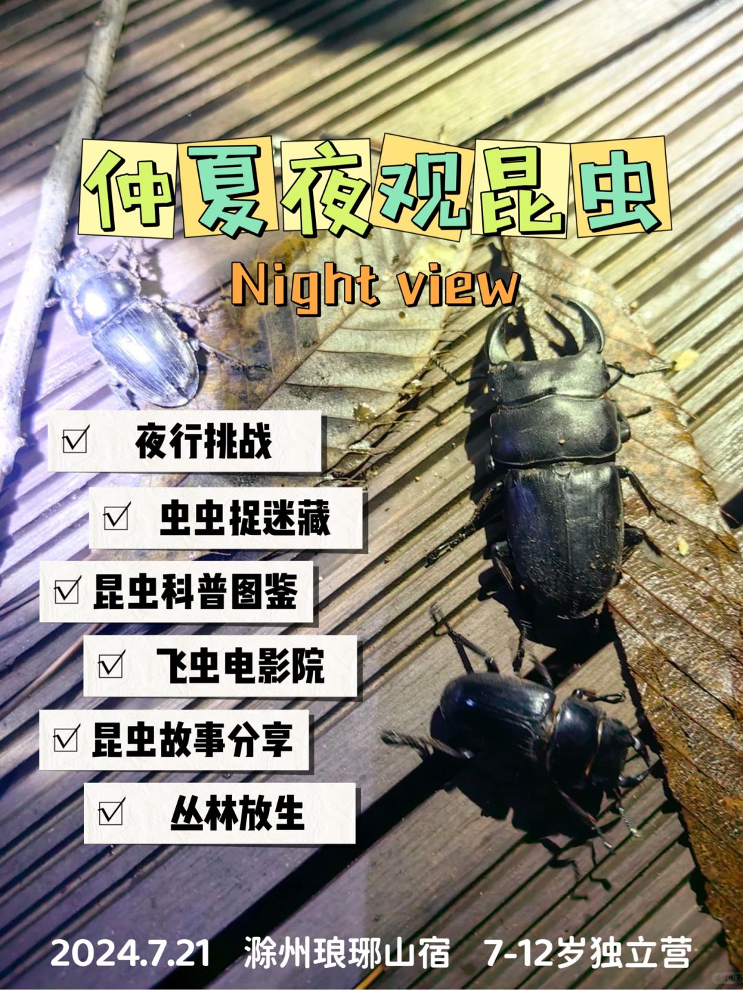 最新夜虫秀步骤指南与精彩展示