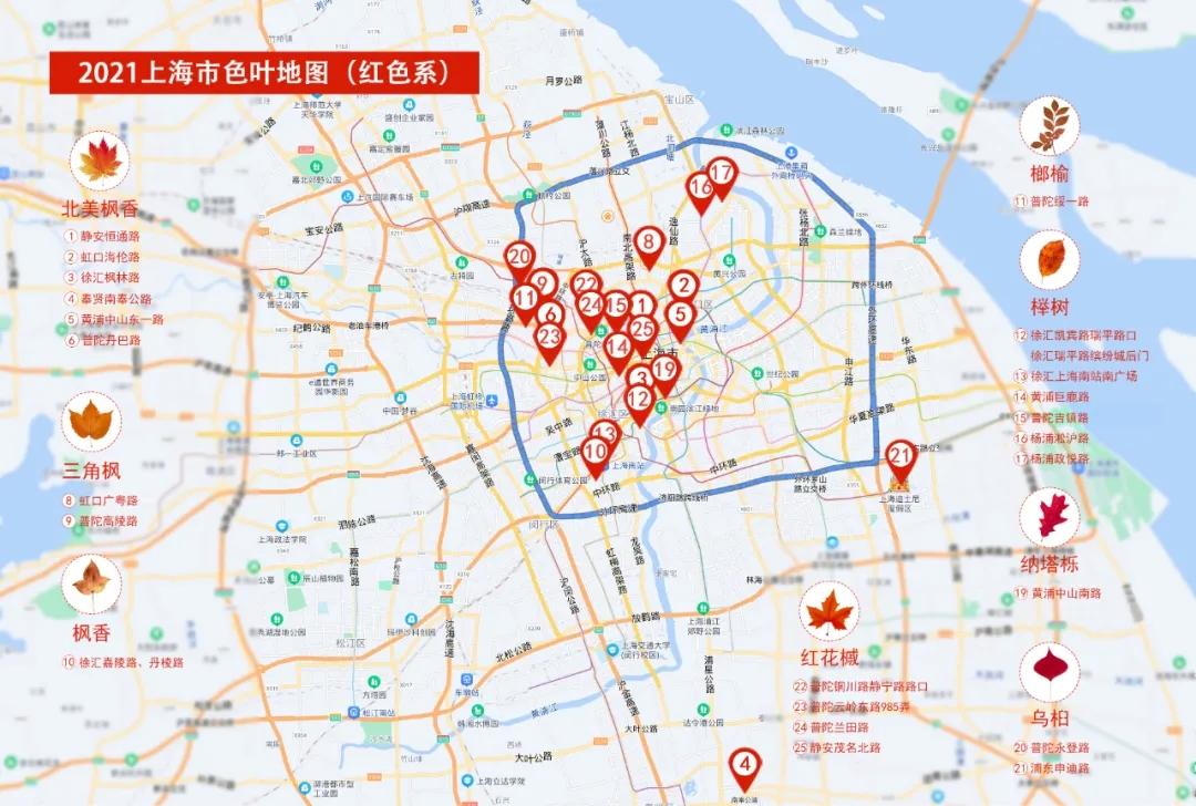 最新上海市地图全图，探索魔都，激发自信与成就感之源