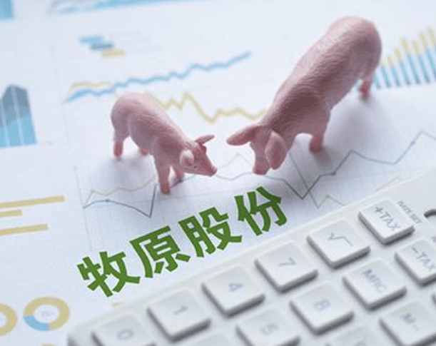 和邦生物公司揭晓，心灵与自然的神秘交汇之旅开启！